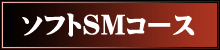 ソフトSMコース
